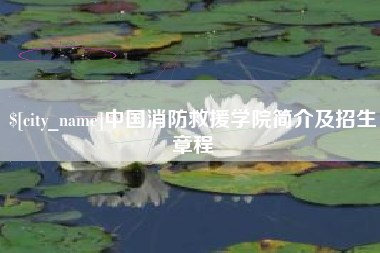 南通中国消防救援学院简介及招生章程