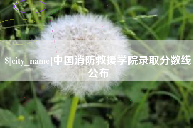 南通中国消防救援学院录取分数线公布