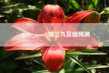 南通排三九宫图预测