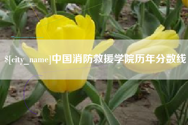 南通中国消防救援学院历年分数线