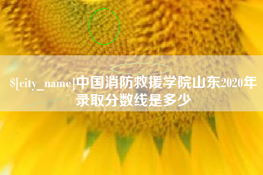 南通中国消防救援学院山东2020年录取分数线是多少