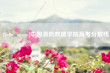 南通中国消防救援学院高考分数线
