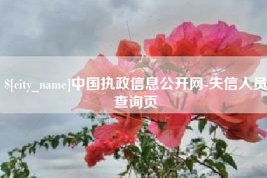 南通中国执政信息公开网-失信人员查询页
