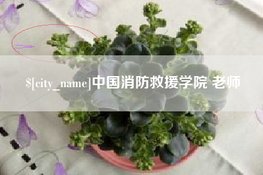 南通中国消防救援学院 老师