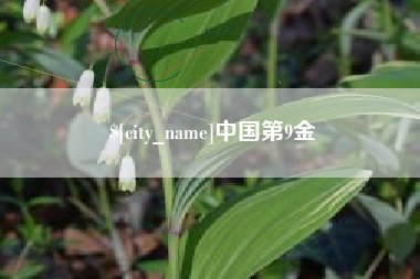 南通中国第9金