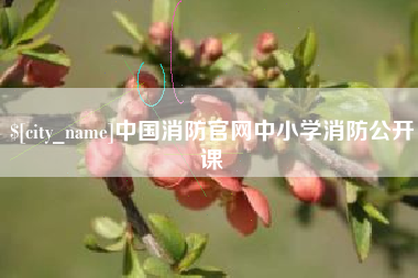 南通中国消防官网中小学消防公开课