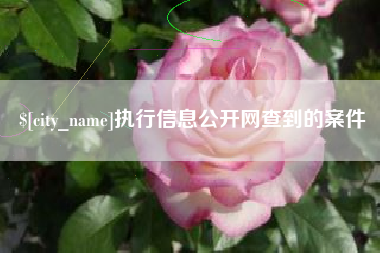 南通执行信息公开网查到的案件