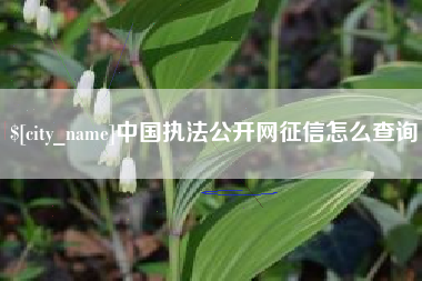 南通中国执法公开网征信怎么查询