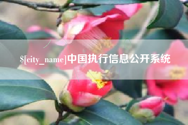 南通中国执行信息公开系统
