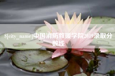 南通中国消防救援学院2019录取分数线