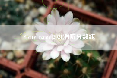 南通2021消防分数线