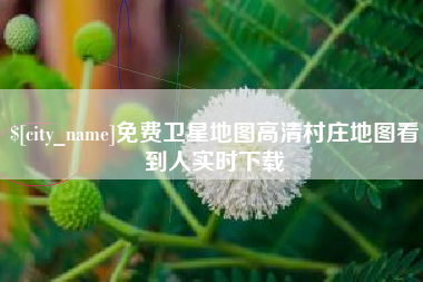 南通免费卫星地图高清村庄地图看到人实时下载