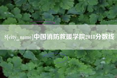 南通中国消防救援学院2018分数线