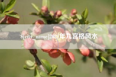 南通2021年九宫格风水
