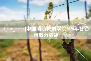 南通中国消防救援学院2020年各省录取分数线