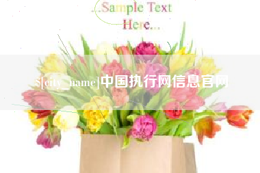 南通中国执行网信息官网