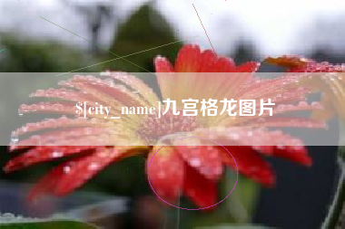 南通九宫格龙图片