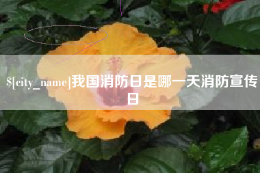南通我国消防日是哪一天消防宣传日