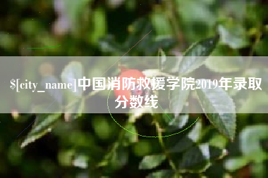 南通中国消防救援学院2019年录取分数线