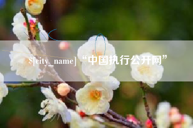南通“中国执行公开网”