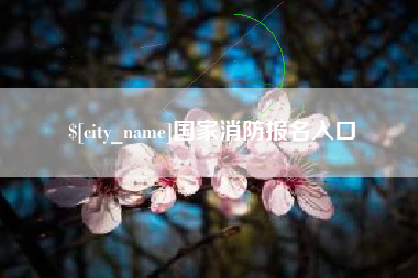 南通国家消防报名入口