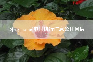 南通中国执行信息公开网后