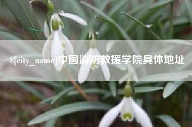 南通中国消防救援学院具体地址