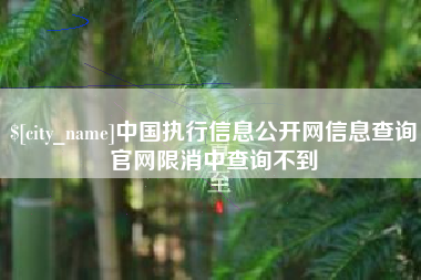 南通中国执行信息公开网信息查询官网限消中查询不到