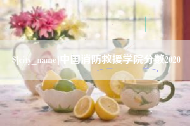 南通中国消防救援学院分数2020