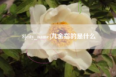 南通九金指的是什么