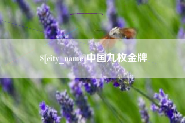 南通中国九枚金牌