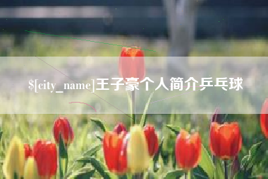 南通王子豪个人简介乒乓球