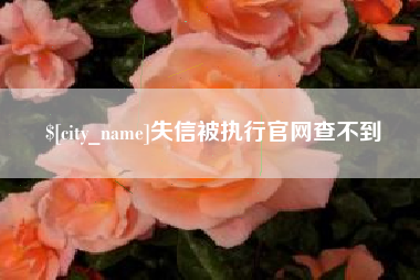 南通失信被执行官网查不到