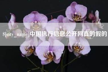 南通中国执行信息公开网真的假的