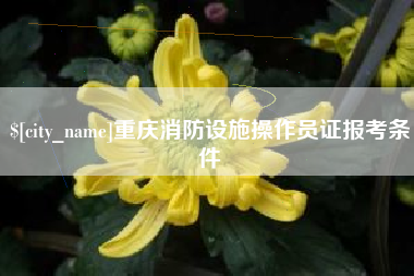 南通重庆消防设施操作员证报考条件