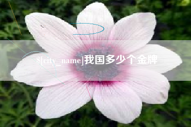 南通我国多少个金牌
