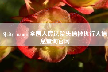 南通全国人民法院失信被执行人信息查询官网