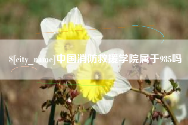 南通中国消防救援学院属于985吗