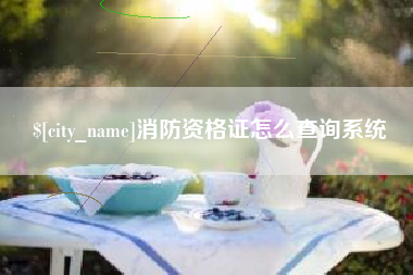 南通消防资格证怎么查询系统
