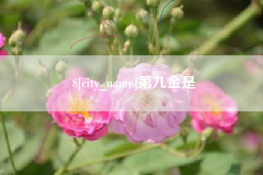 南通第九金是