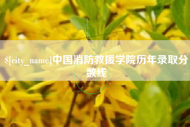 南通中国消防救援学院历年录取分数线