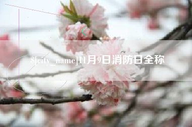 南通11月9日消防日全称