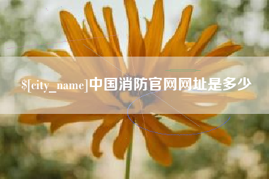 南通中国消防官网网址是多少