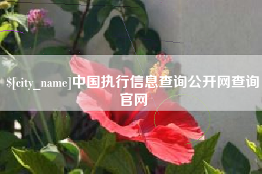 南通中国执行信息查询公开网查询官网