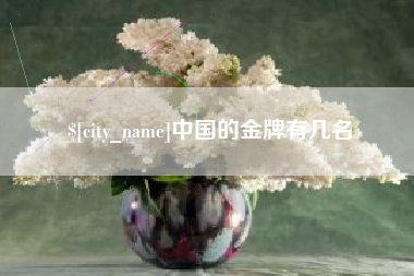 南通中国的金牌有几名