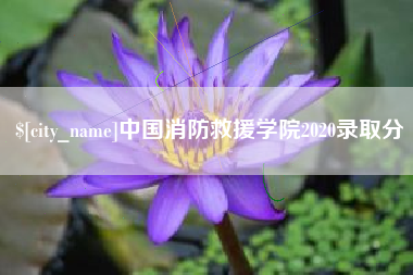 南通中国消防救援学院2020录取分