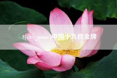 南通中国十九枚金牌
