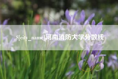 南通河南消防大学分数线
