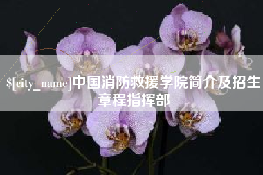 南通中国消防救援学院简介及招生章程指挥部