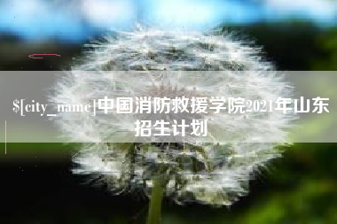 南通中国消防救援学院2021年山东招生计划